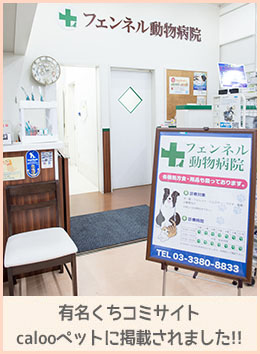 calooペットに掲載されました！