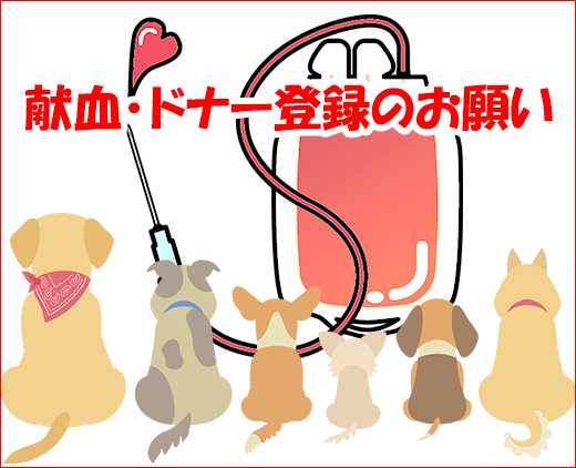 献血・ドナー登録のお願い