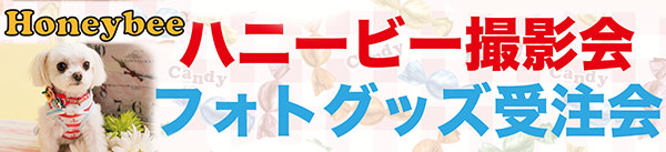 ハニービー撮影会＆フォトグッズ受注会