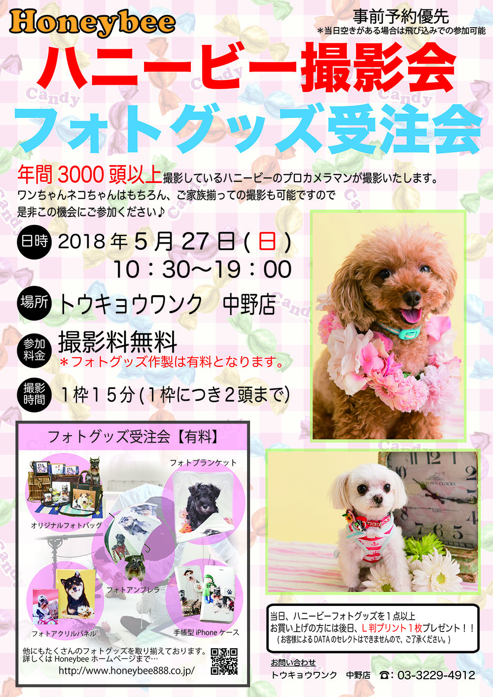 ハニービー撮影会＆フォトグッズ受注会