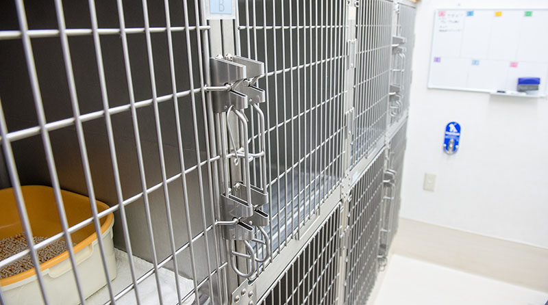 ペットお預りゲージ写真